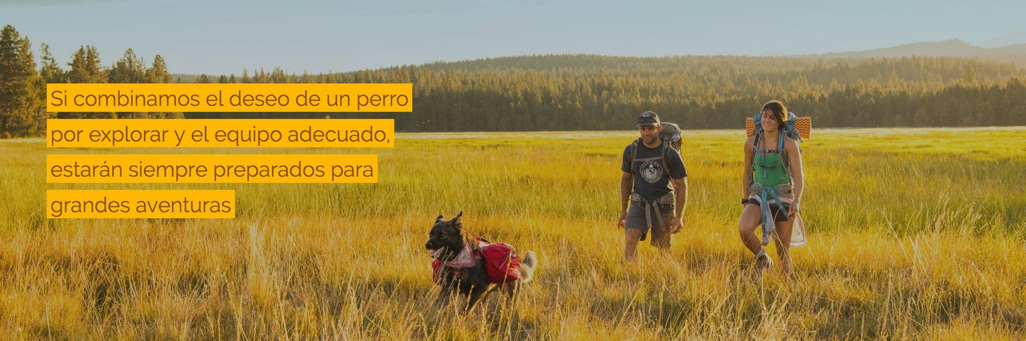 Ruffwear Blog para RealProperty Chile - Productos en Amazon.jpg